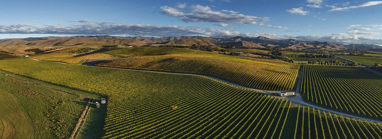 Greywacke Winery