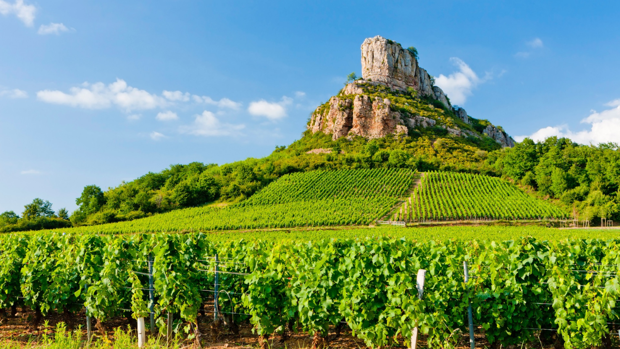 Beaujolais & Maconnais