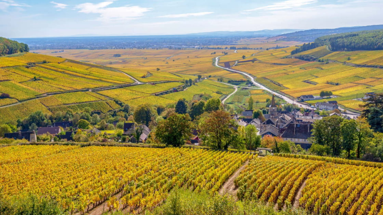 Côte d'Or