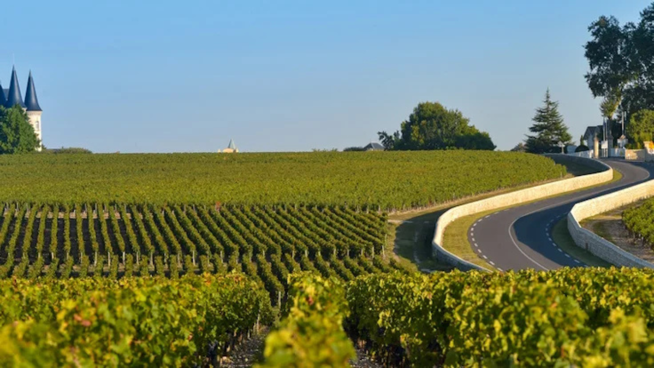 Haut-Médoc