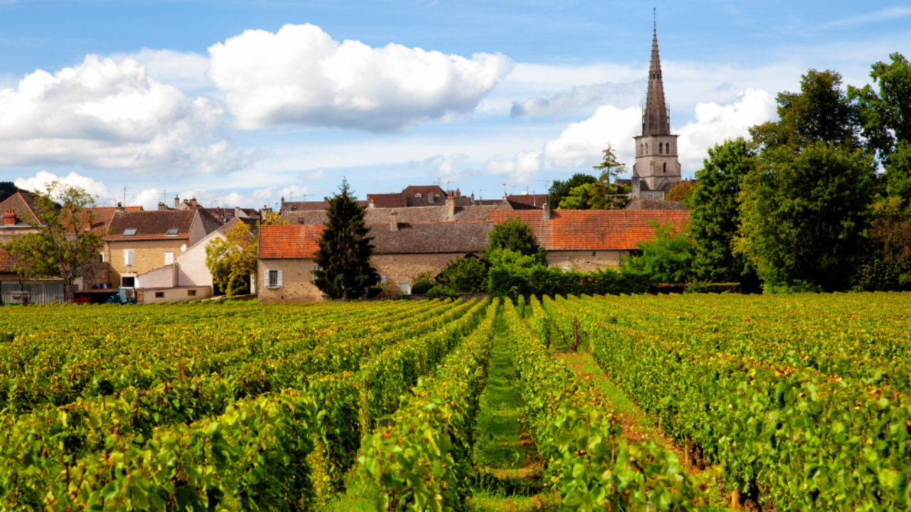 Meursault