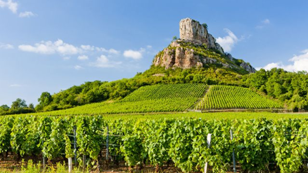 Pouilly-Fuissé