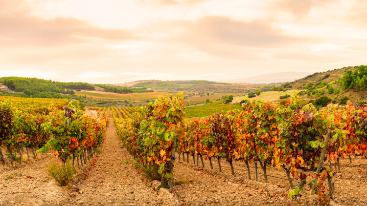 Rioja
