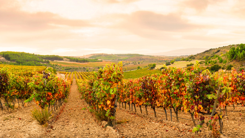 Rioja