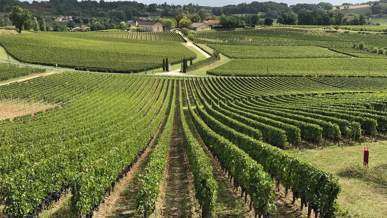 Saint-Émilion