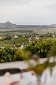 Gilvesy Winery