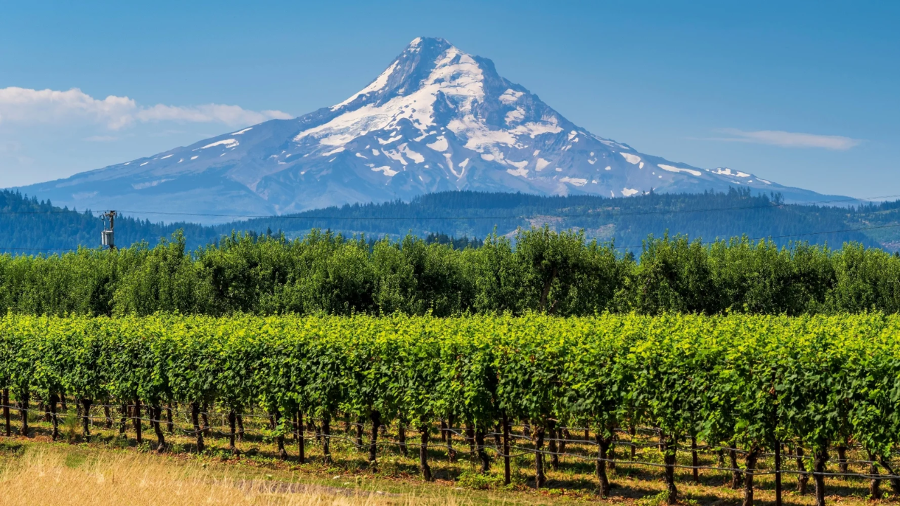 Oregon