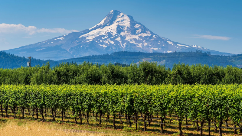 Oregon