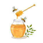 Ginger Honey Simple Syrup